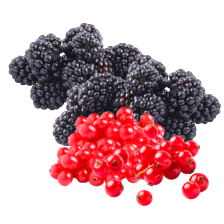 Bramen of rode bessen